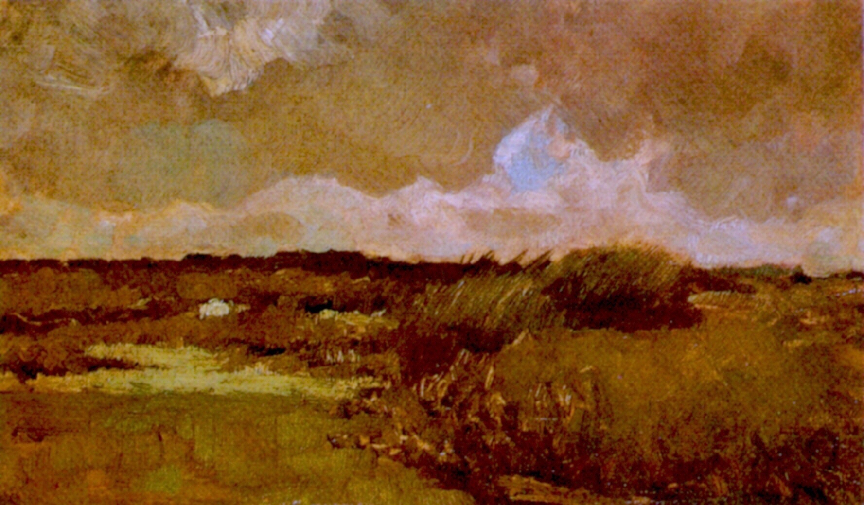 Картина Ван Гога Болотистый ландшафт 1883